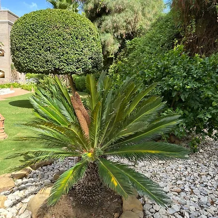 Arqueros Jacarandas 아파트 *